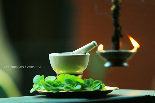 ayurvedic courses in varkala 