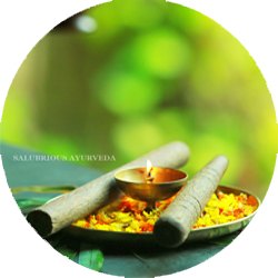 ayurveda in varkala