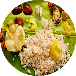 ayurvedic treatment in varkala